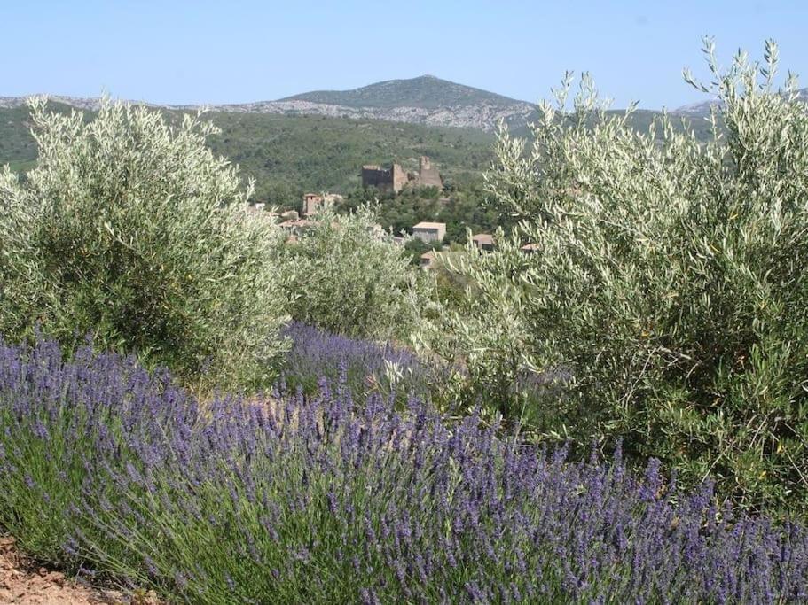 Bergerie Marcel