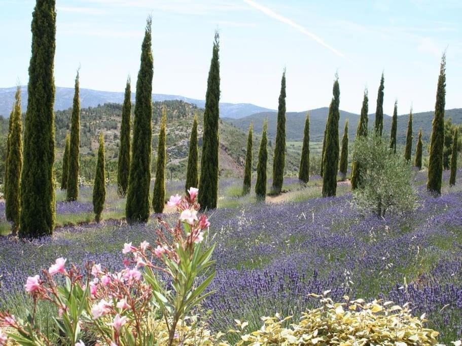 Bergerie Marcel * Durban-Corbieres